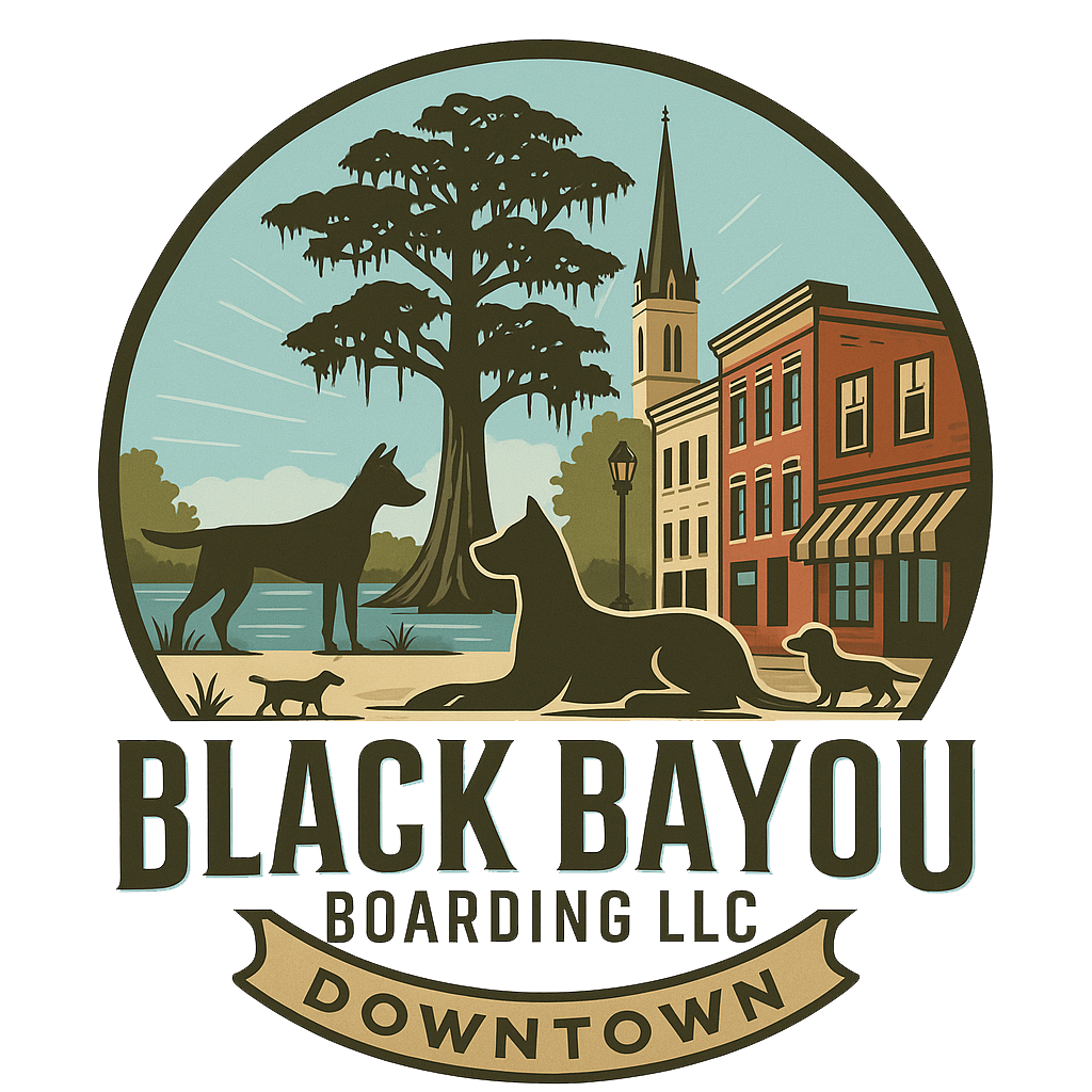 Black Bayou Boarding Downtown
